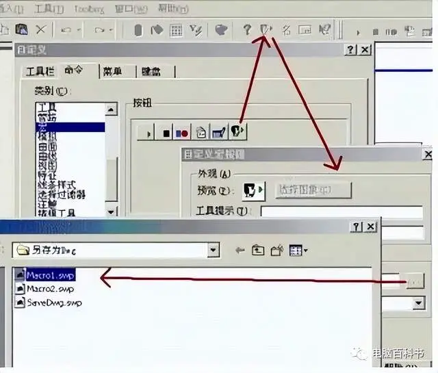 sw圈内意思